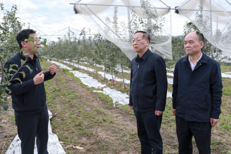 范九倫到銅川開(kāi)展調(diào)研工作