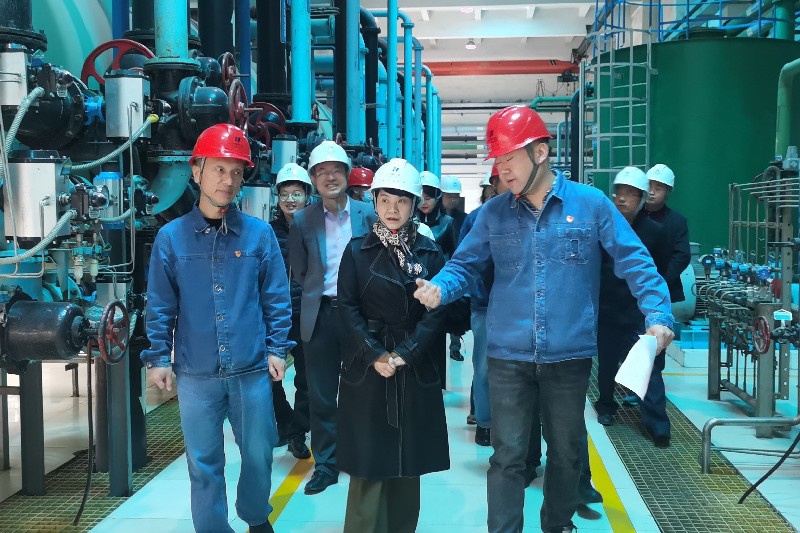 5_副本（800  533）.jpg