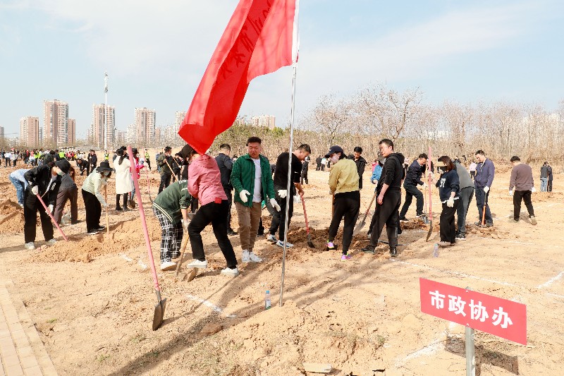 4_副本(800  533).jpg